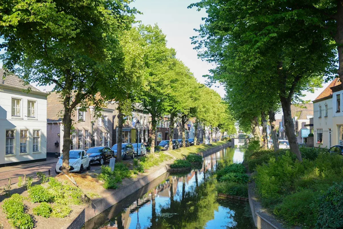 Rijnsburg | Canal | Trees | Village