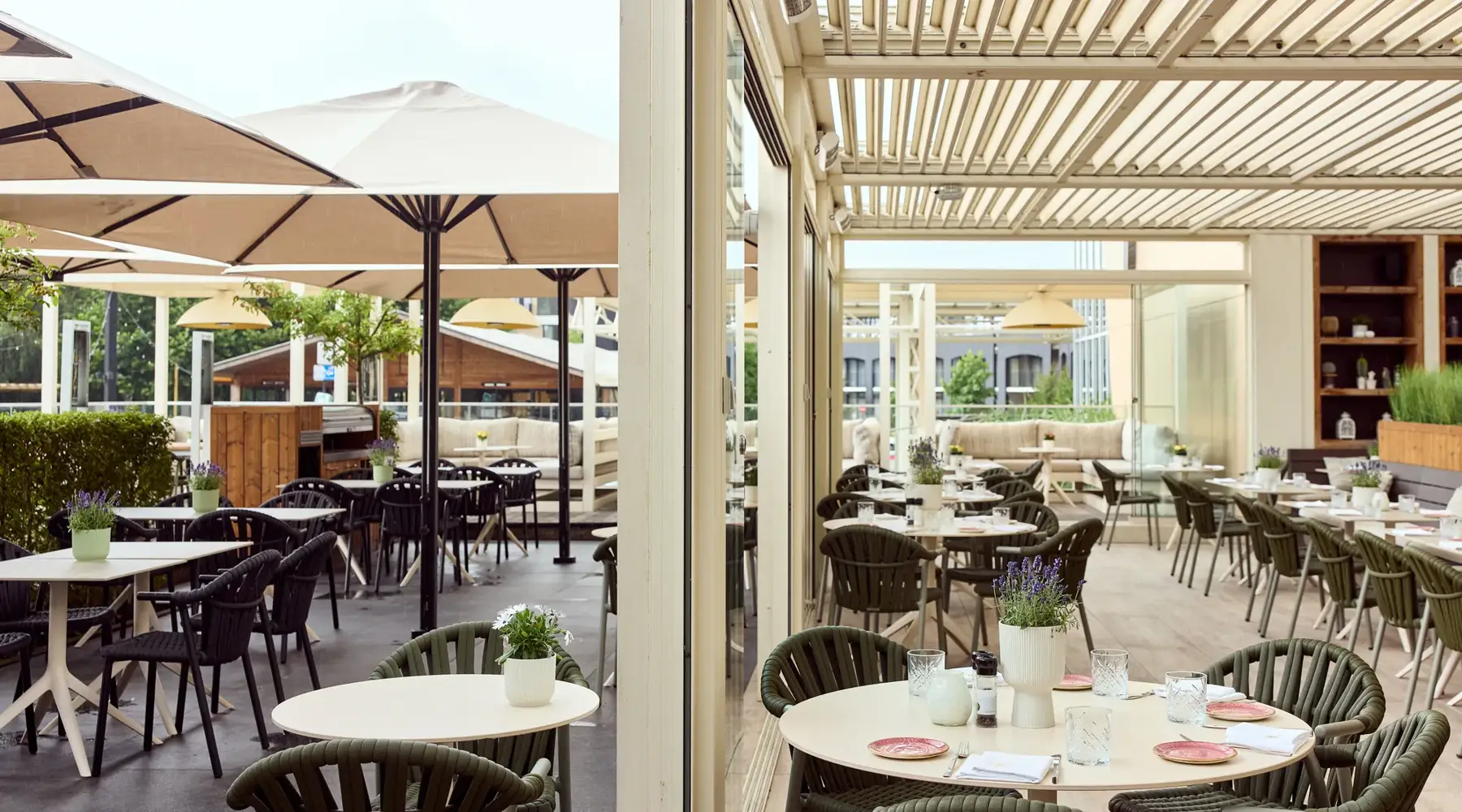 terras nest