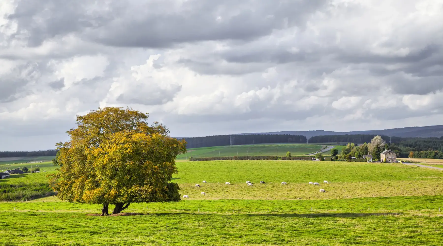 Omgeving