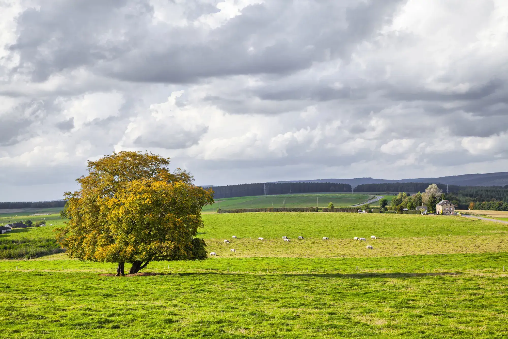 Omgeving