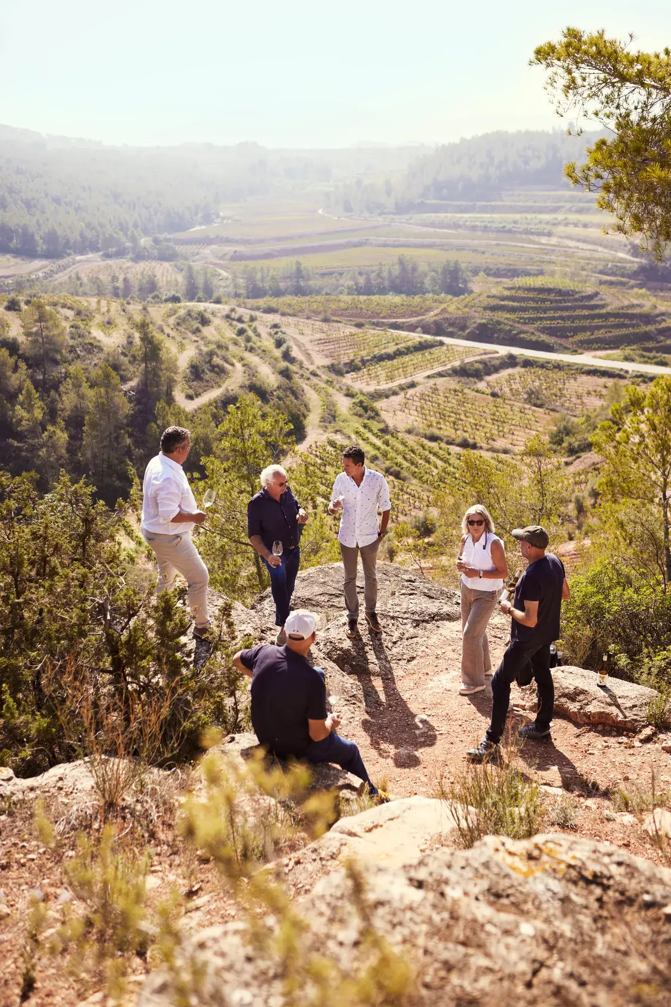 Wine tasting in a vineyard