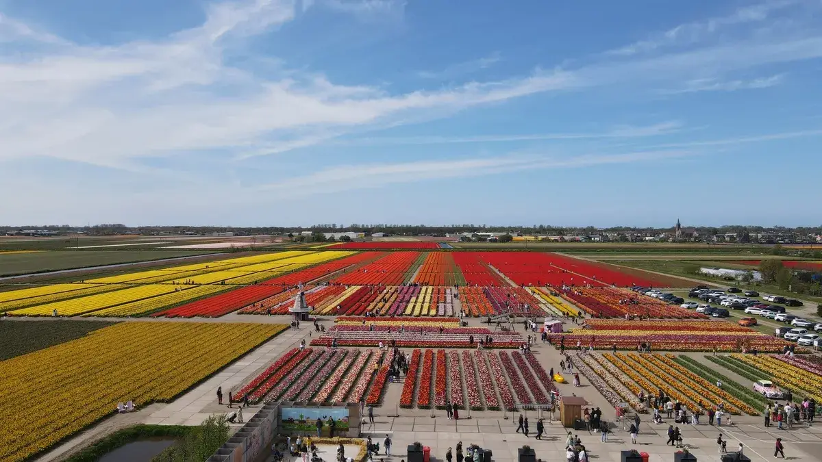 The Tulip Barn