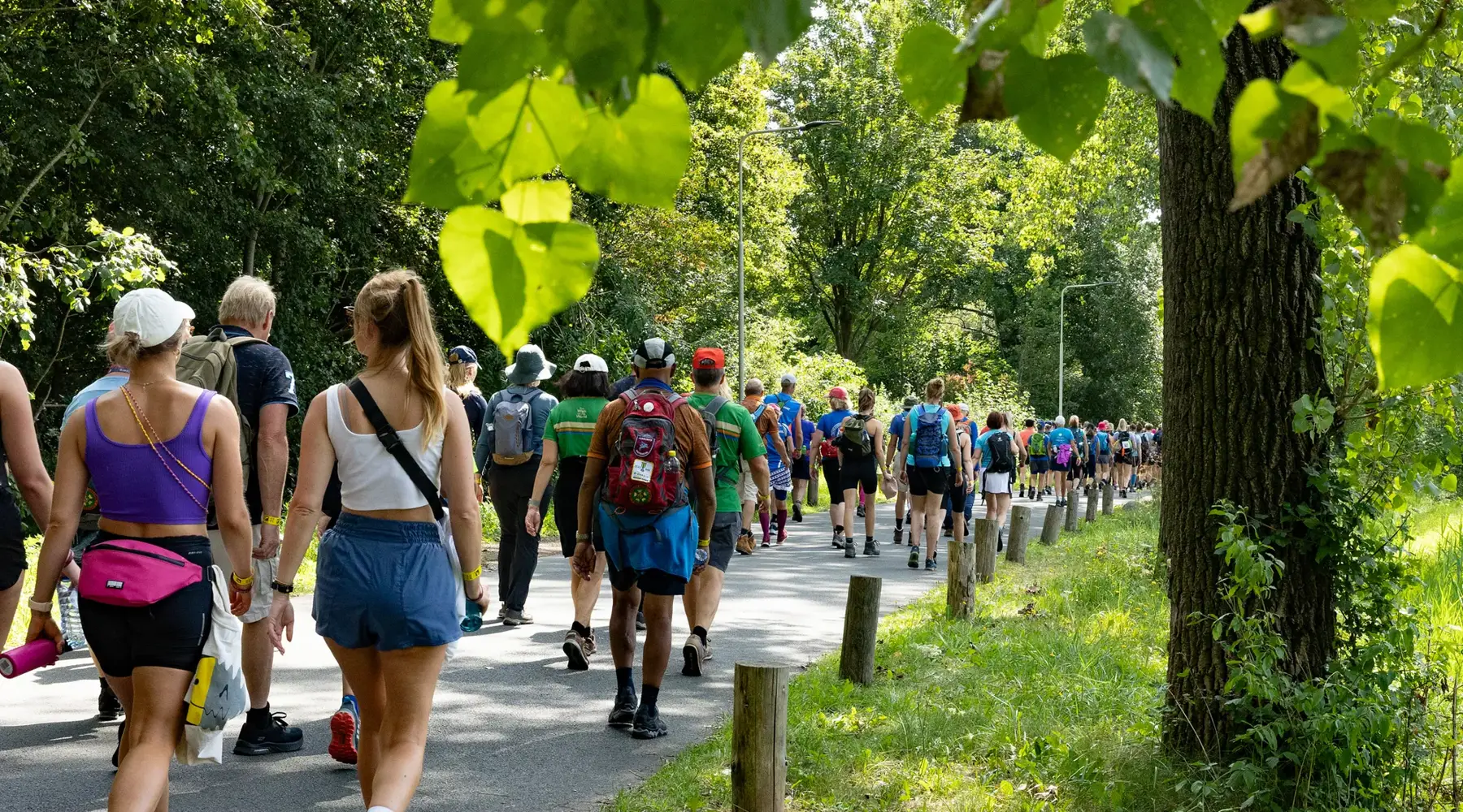 Nijmeegse Vierdaagse