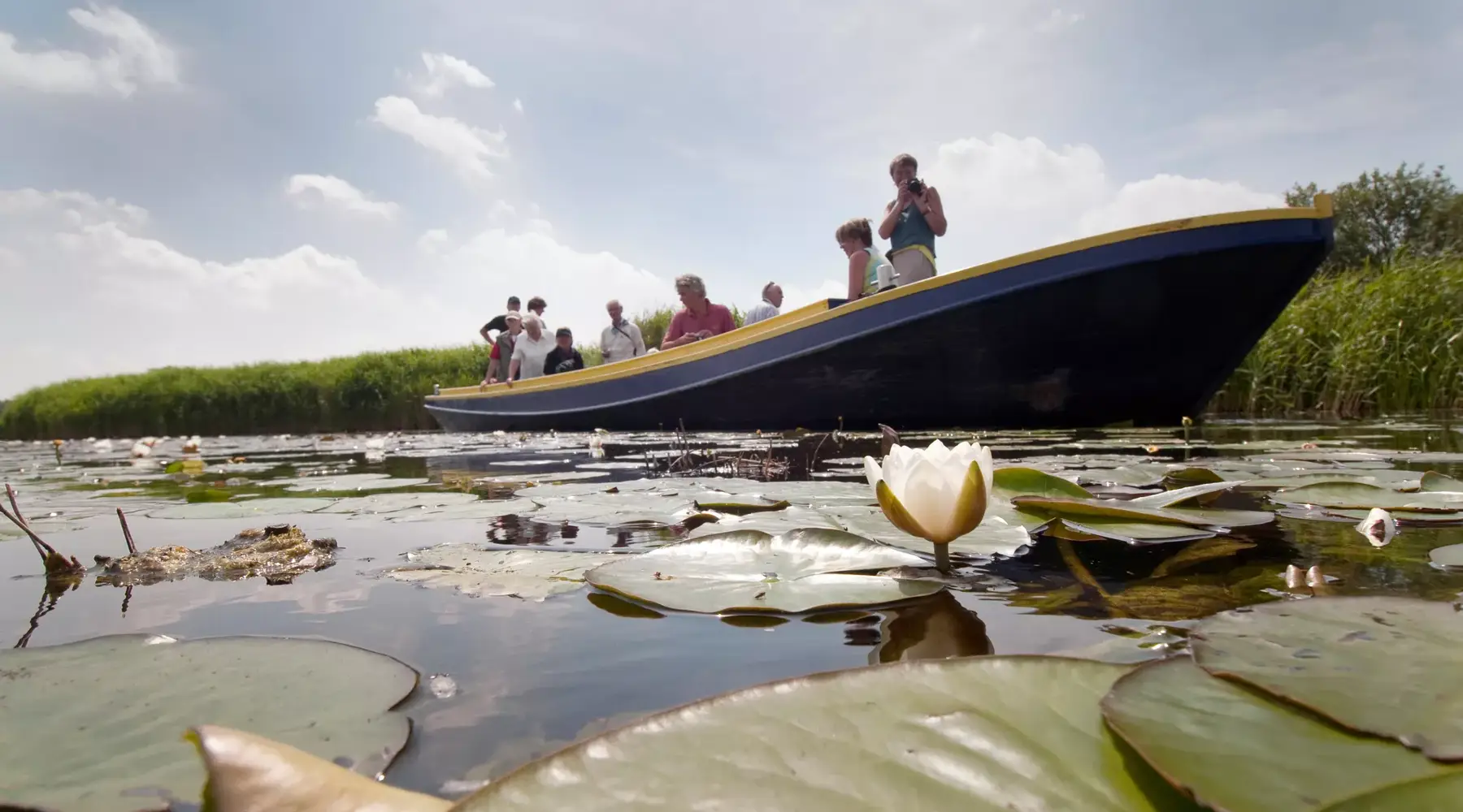 Boot fährt im Botshols Moor in der Nähe von Abcoude.
