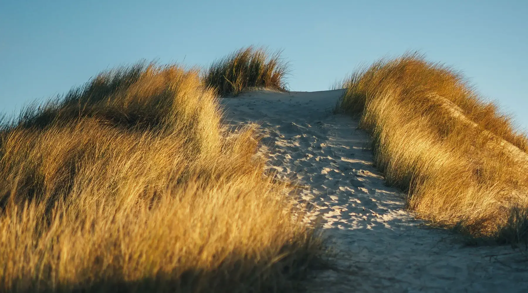 borkum