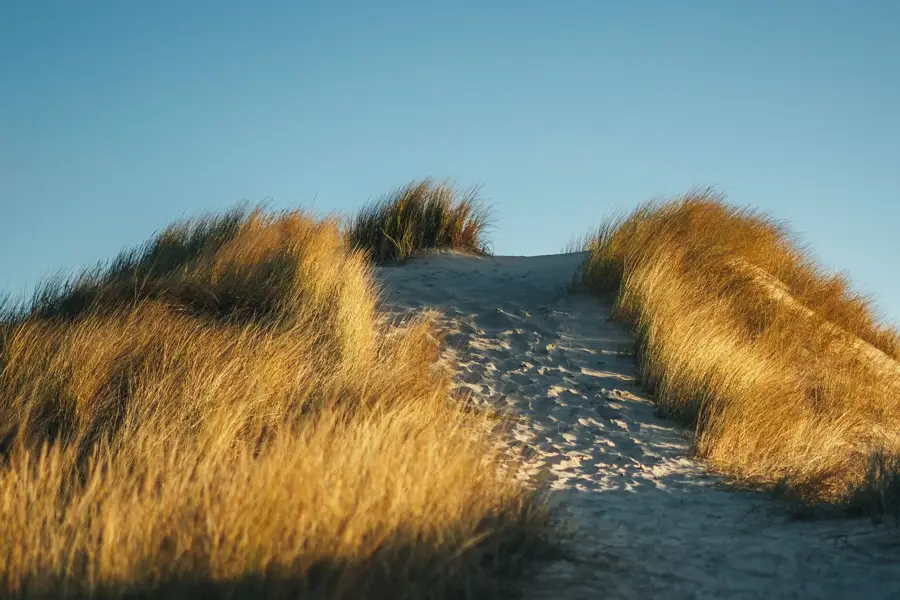 borkum