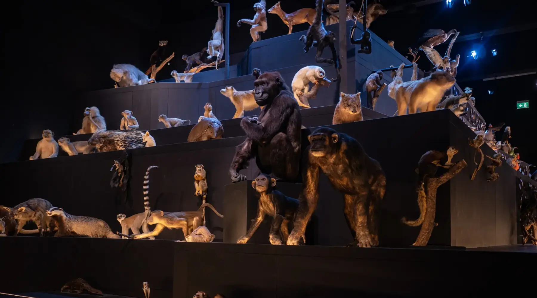 Naturalis