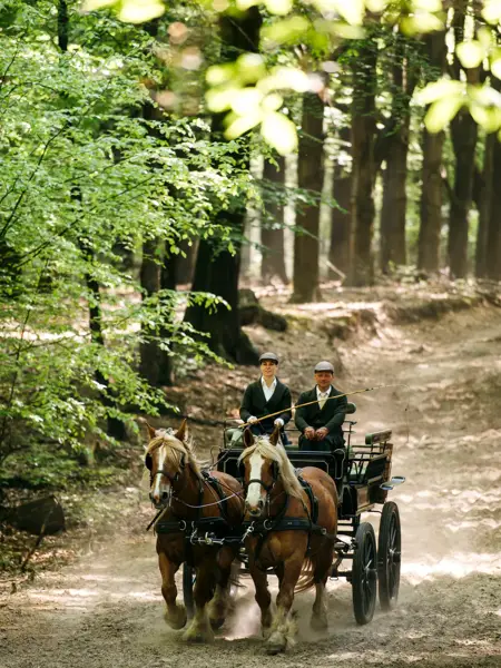Palace Het Loo in Apeldoorn