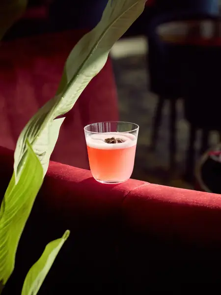 Lieu de l'événement unique avec vue panoramique sur Gand