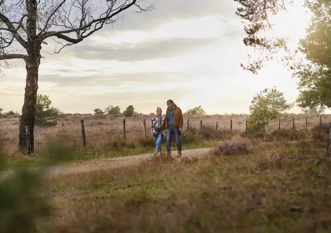 Menschen, die im Wald spazieren gehen