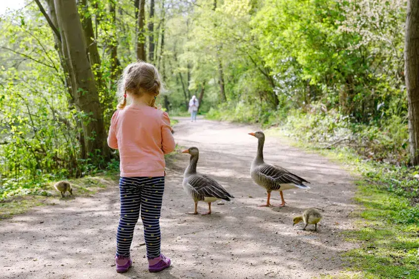 Mädchen steht in einem Park.