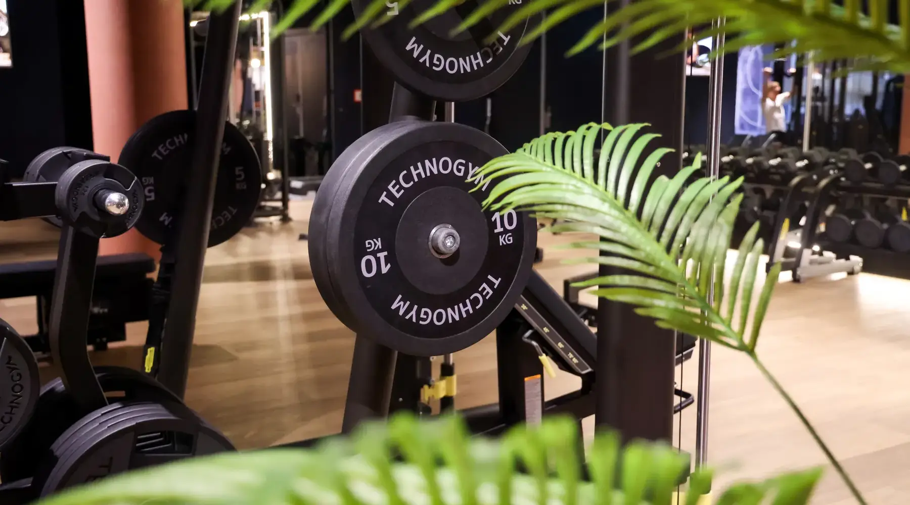 Fitness von V Palast