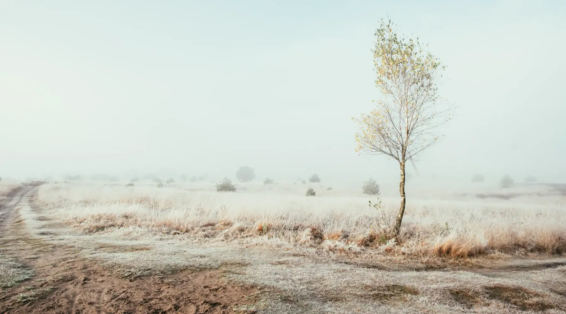 Natuurgebied Het Leesten met ondergaande zon en zicht op de heide