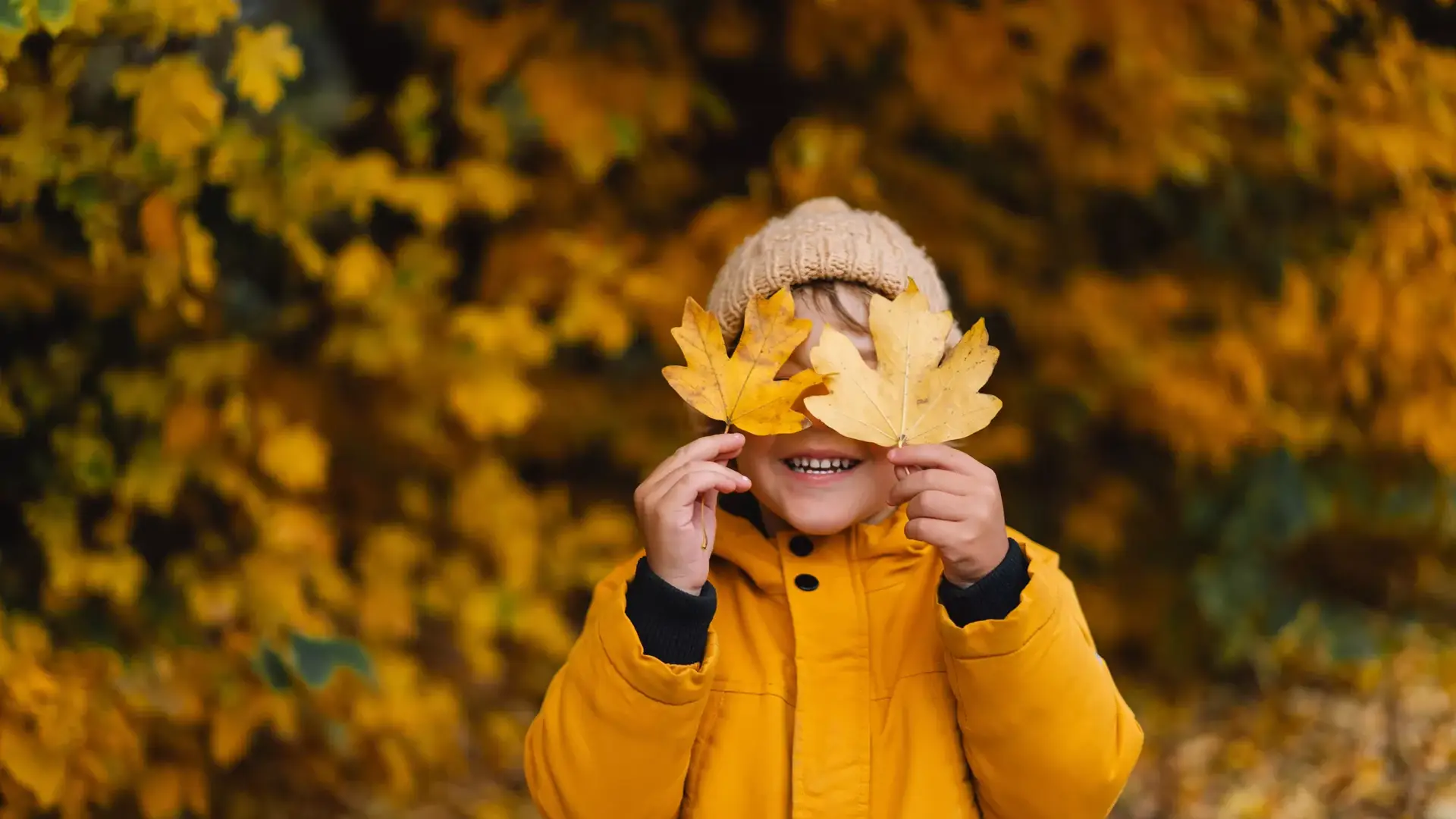 Kind met herfstbladeren
