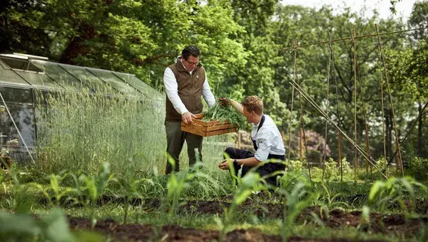 People in the vegetable garden