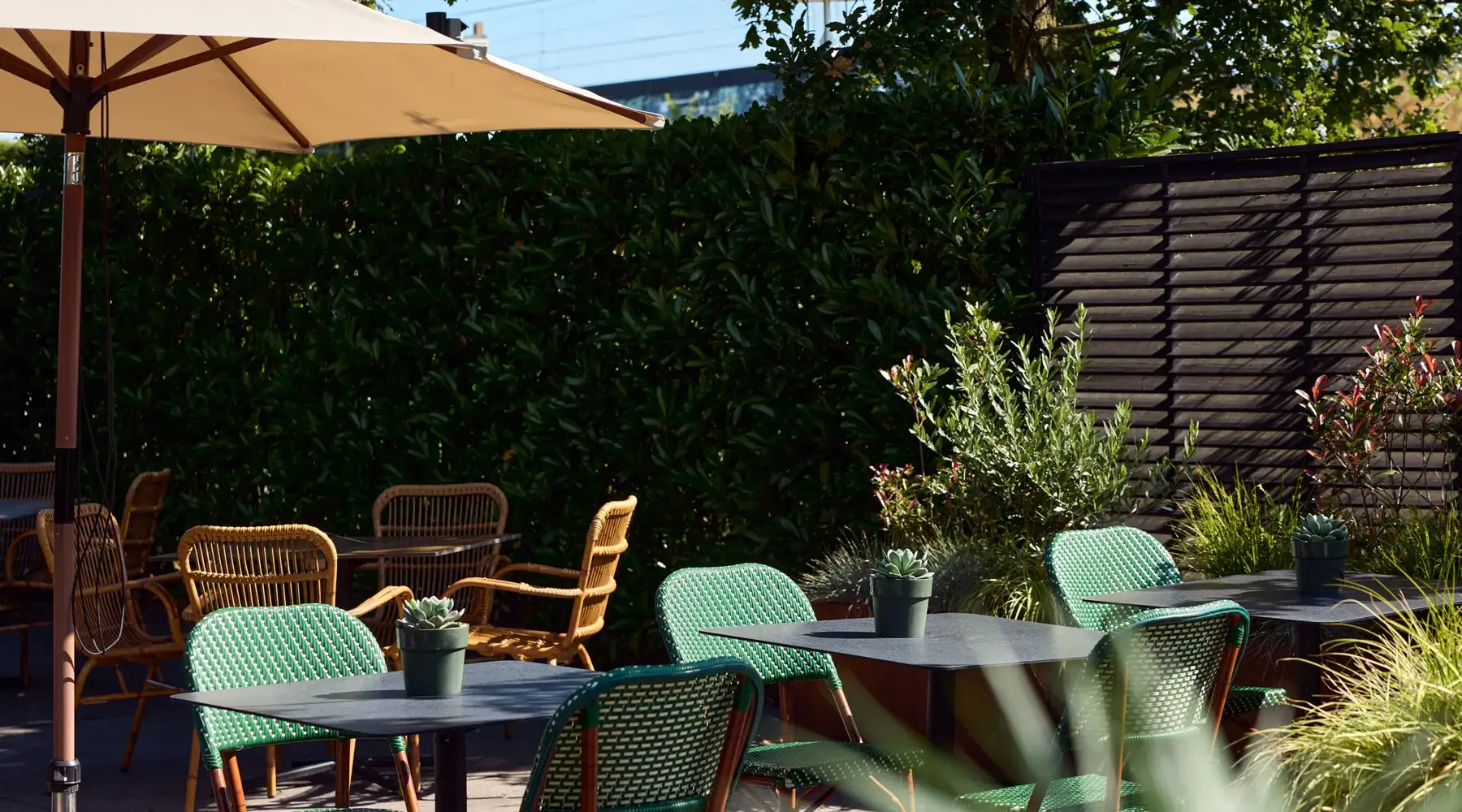Terrace