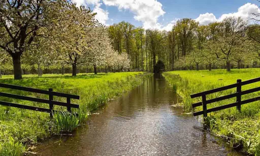 Nature