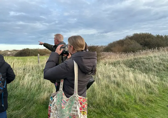 Vogelbeobachtung auf Texel
