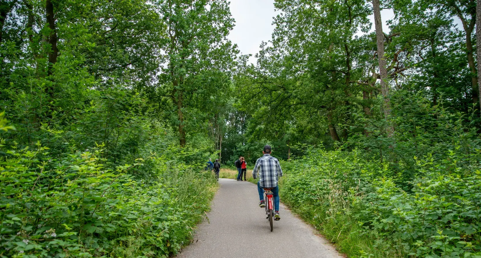 Fietser in een natuurpark