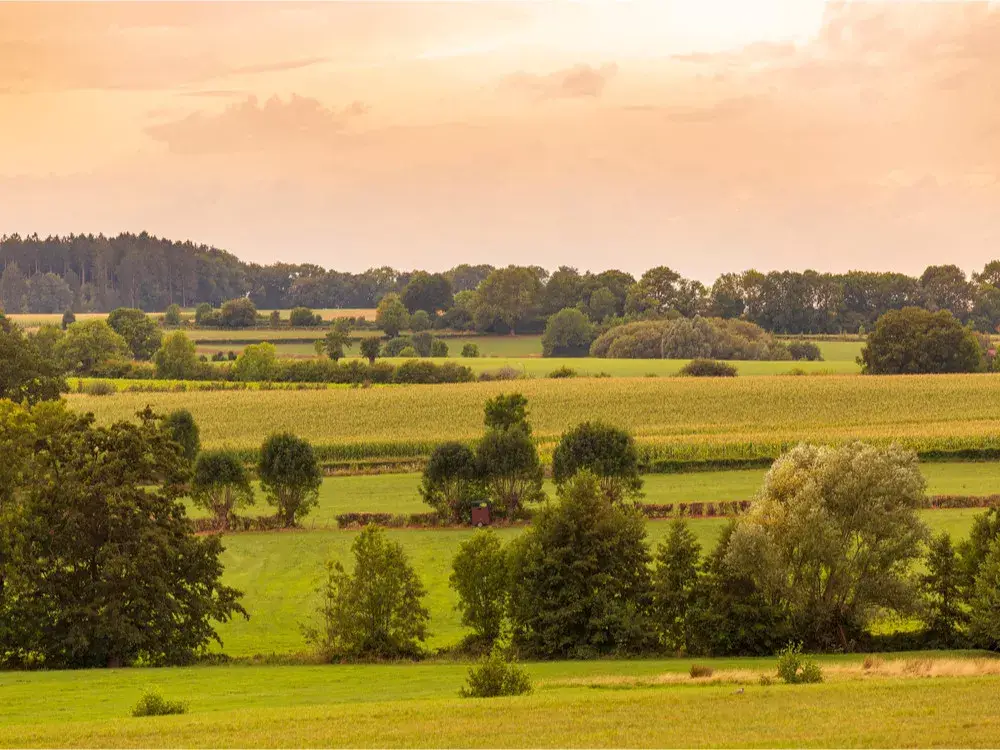 Discover the surroundings