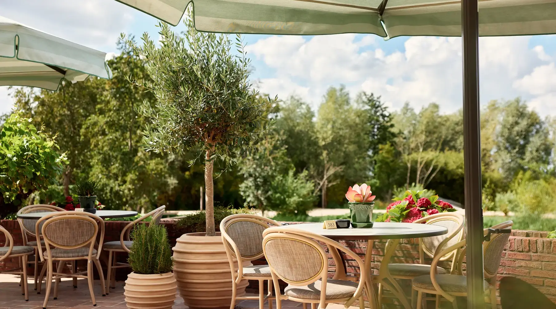 Restaurant ZYLT