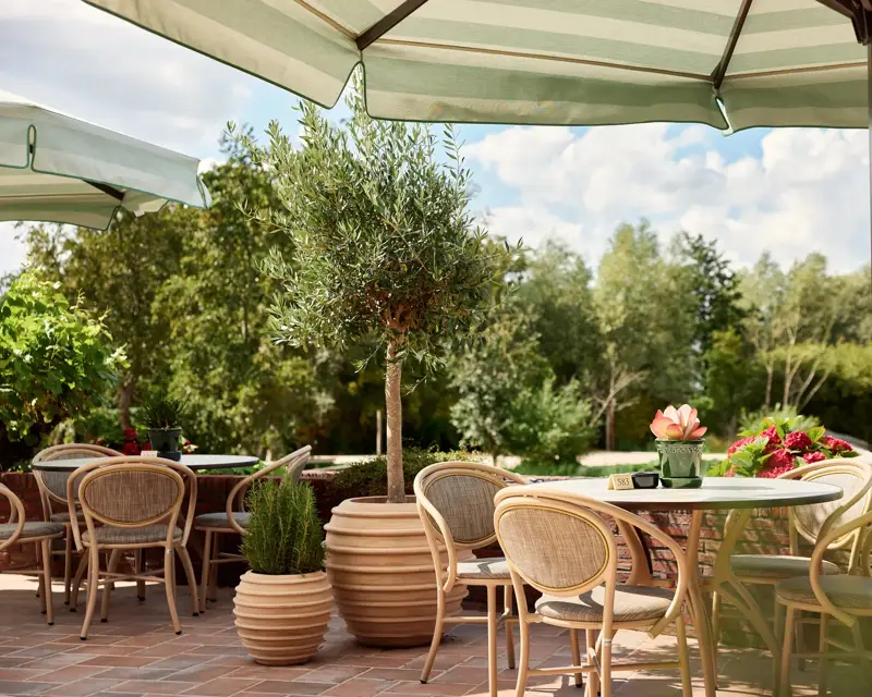 Terras