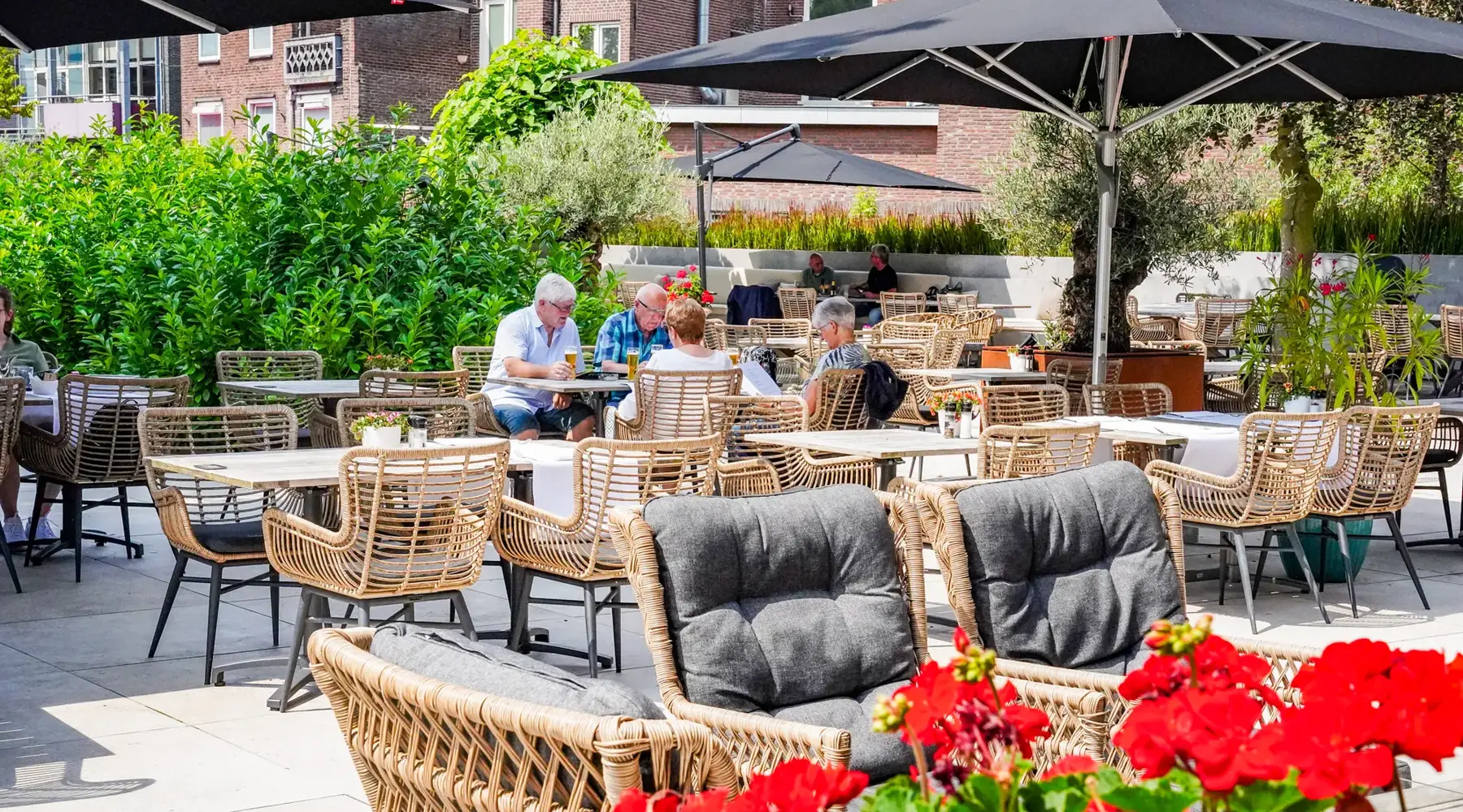 terras