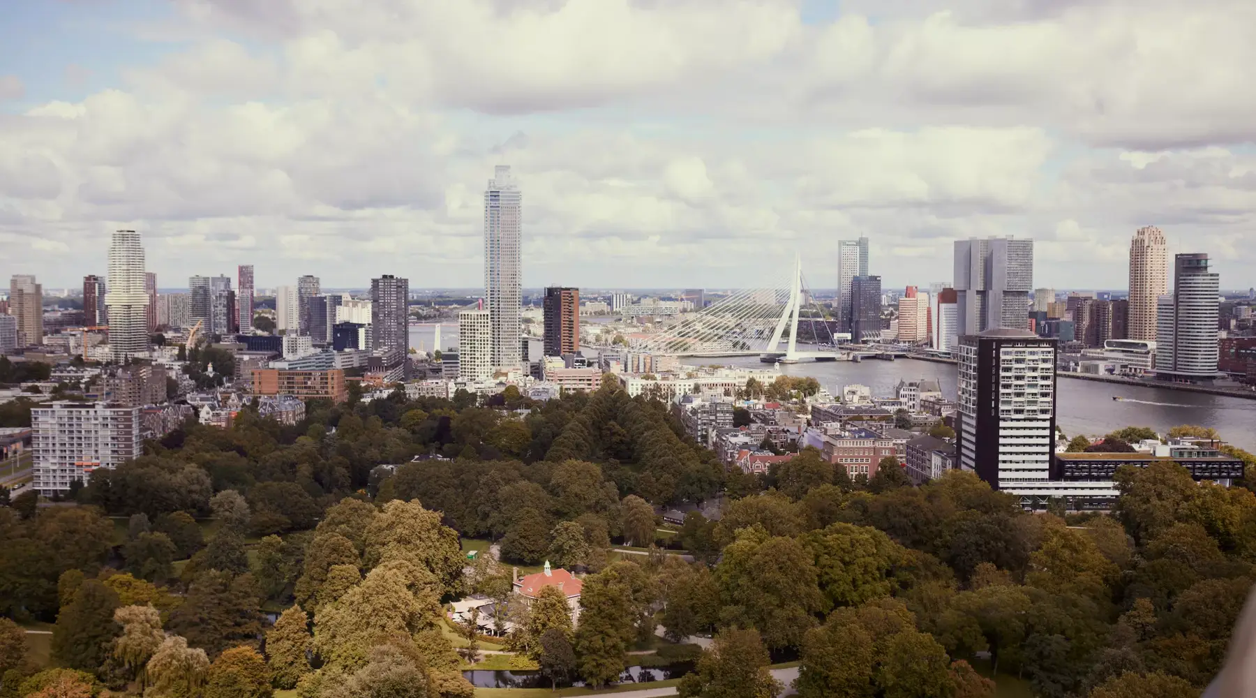 Rotterdam mit der Erasmusbrücke aus der Luft