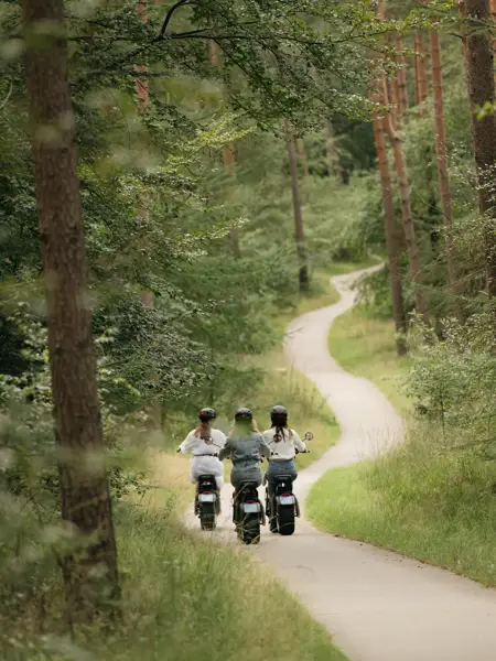 3 Damen auf E-Choppern zwischen den Bäumen auf einem Radweg