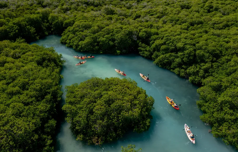 Mangroves van Lac Bay, Bonaire