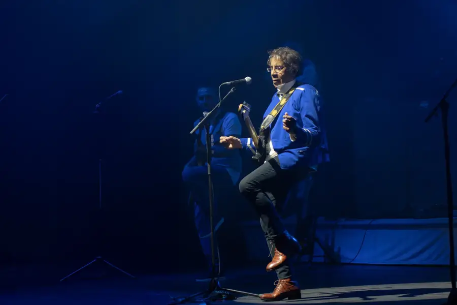 Laurent Voulzy Show