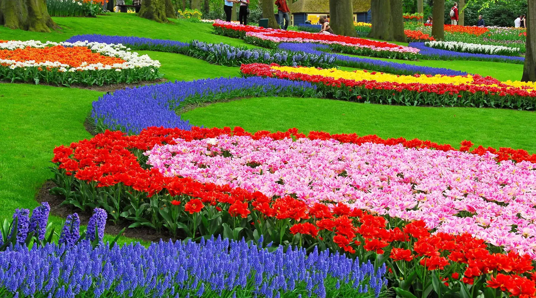 Keukenhof