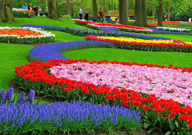 Het keukenhof met prachtige bloemen