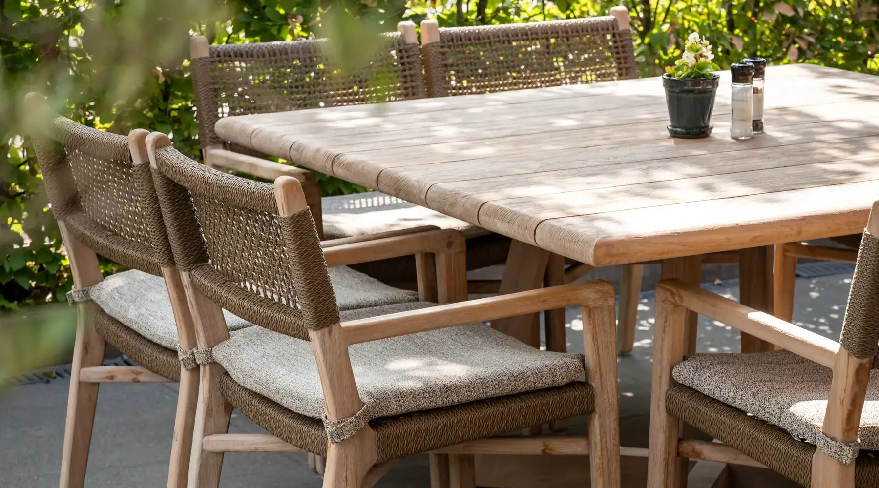 Terras