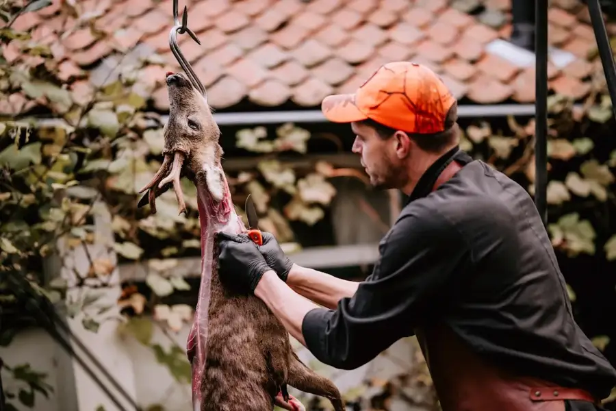 Cutting meat from the carcass (roe deer)
