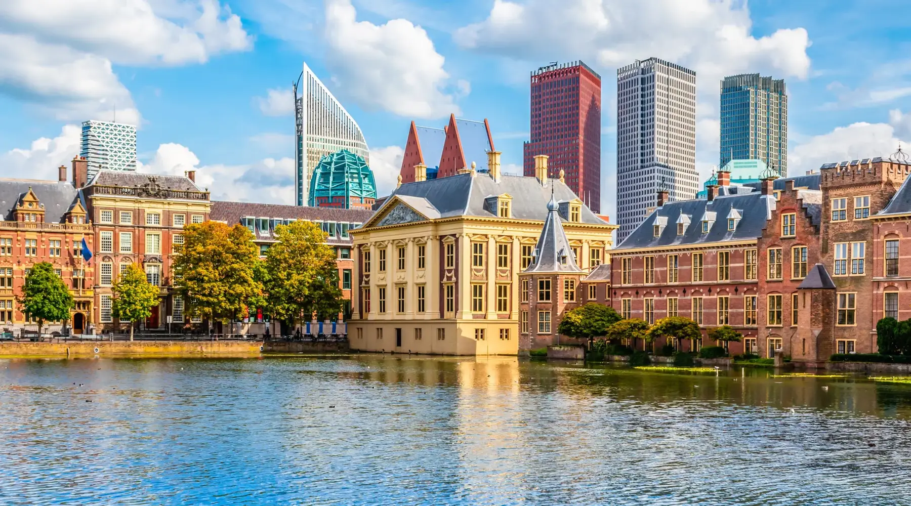 The Hague