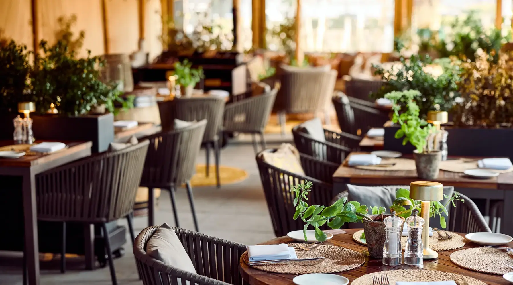Terrassenrestaurant Cocotte