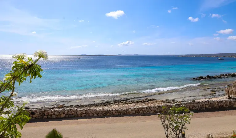 Grand Suite Ocean