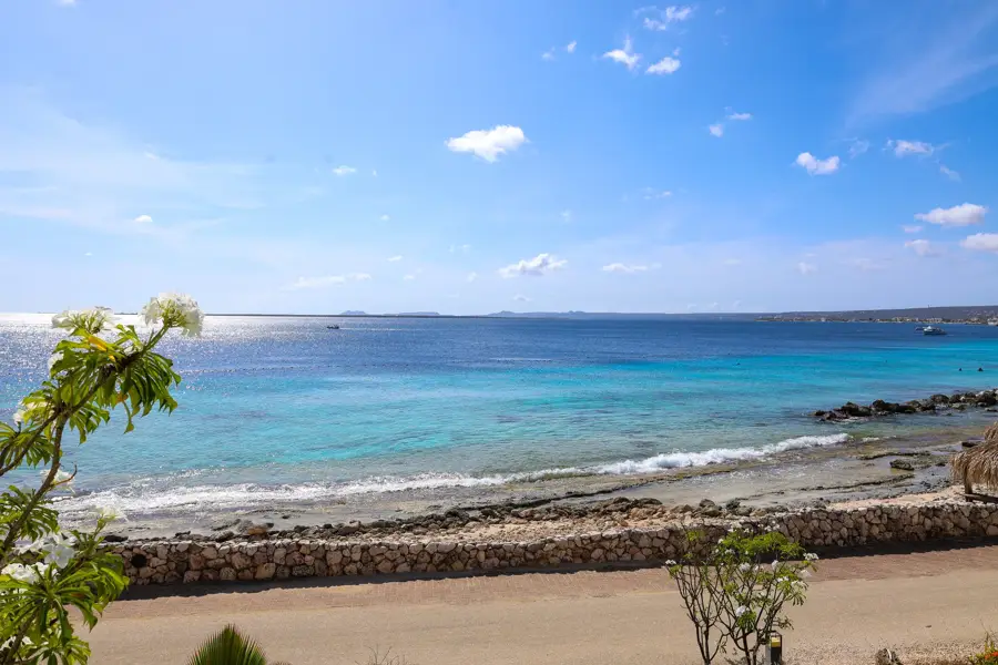Grand Suite Ocean