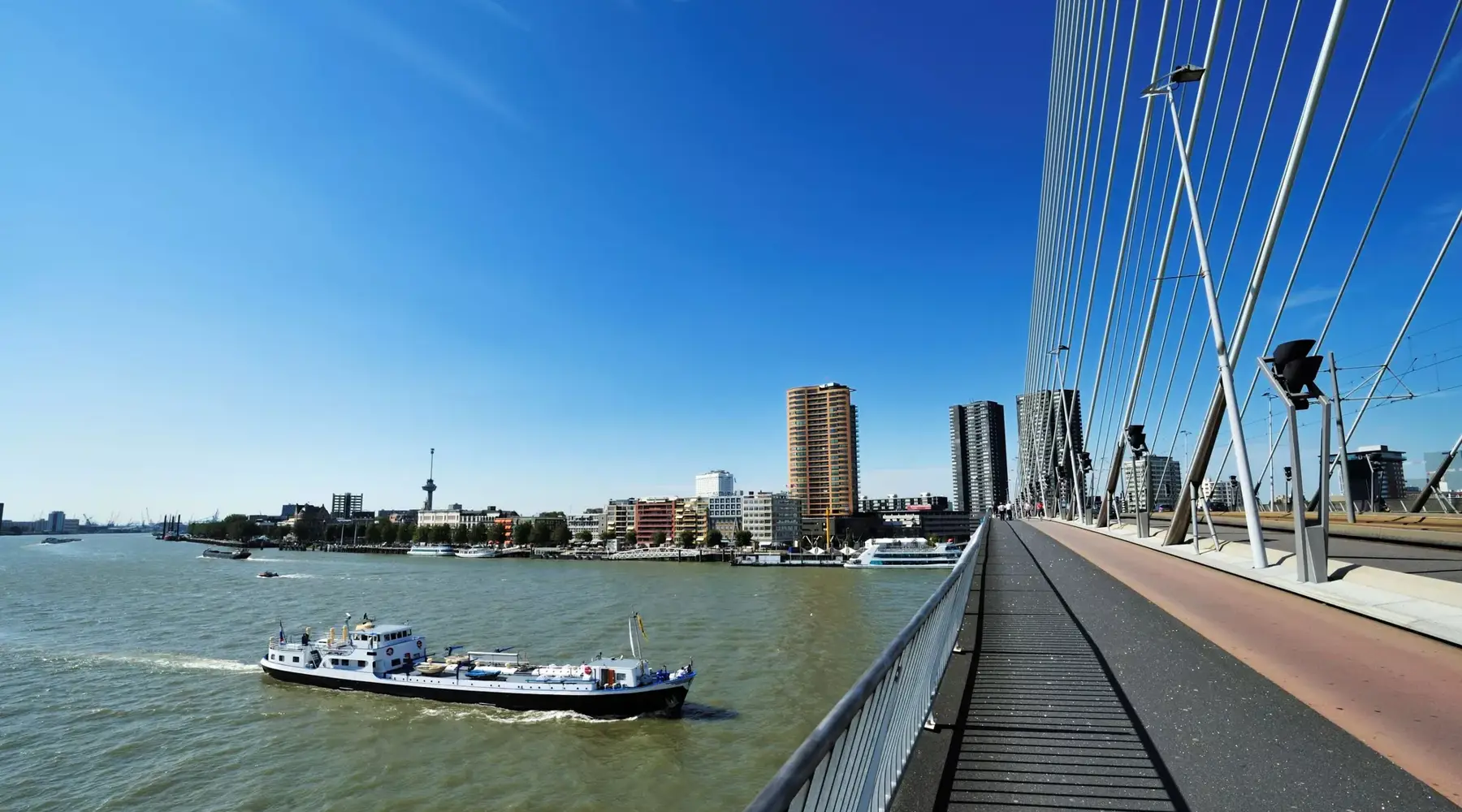 Erasmusbrug in Rotterdam