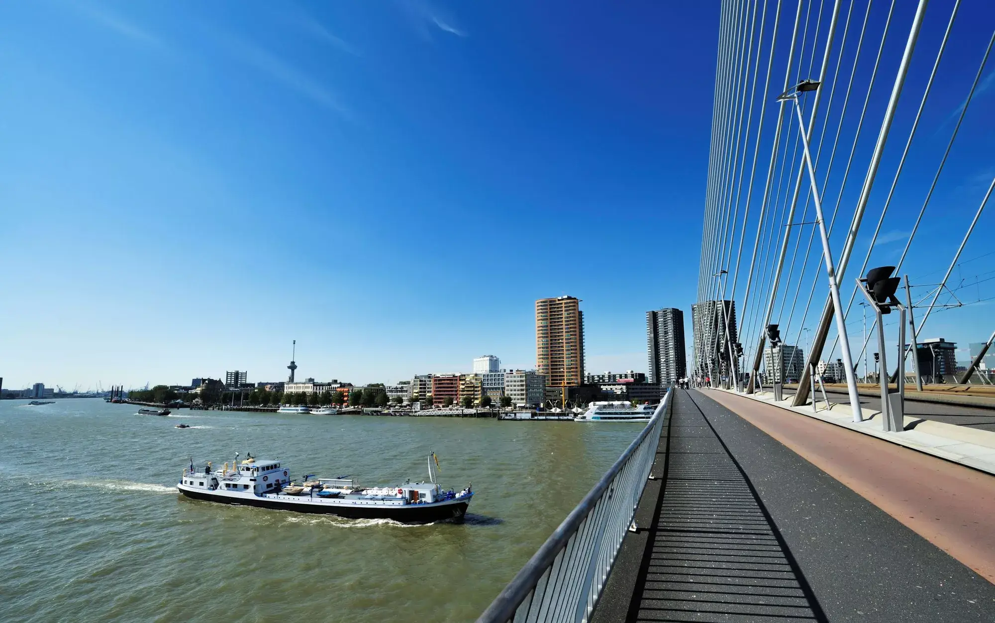 Erasmus Bridge in Rotterdam