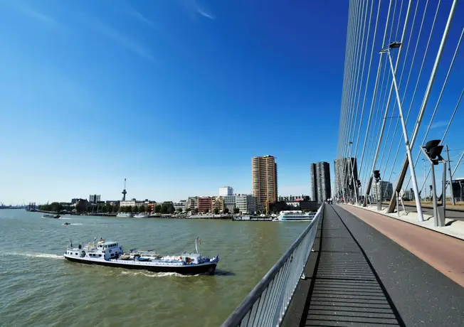 Erasmus Bridge in Rotterdam