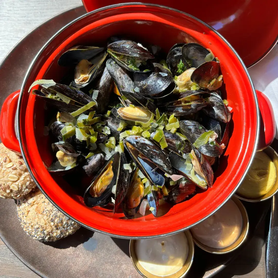 Mussels