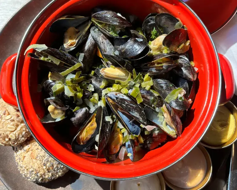 Muscheltopf