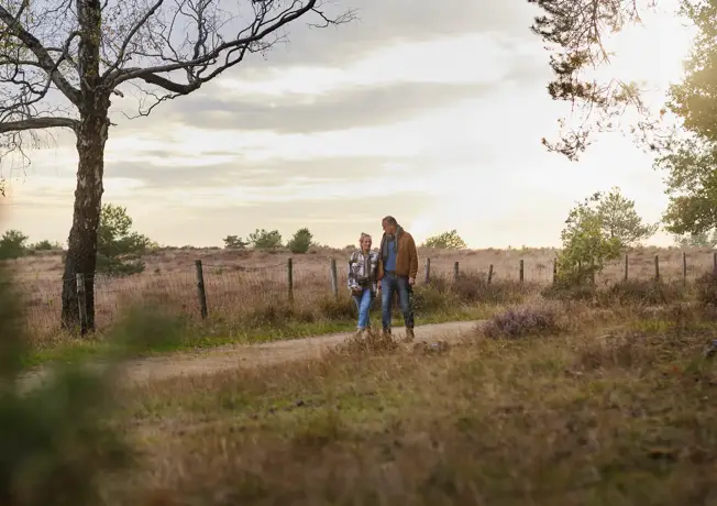 Couple walks in the dunes