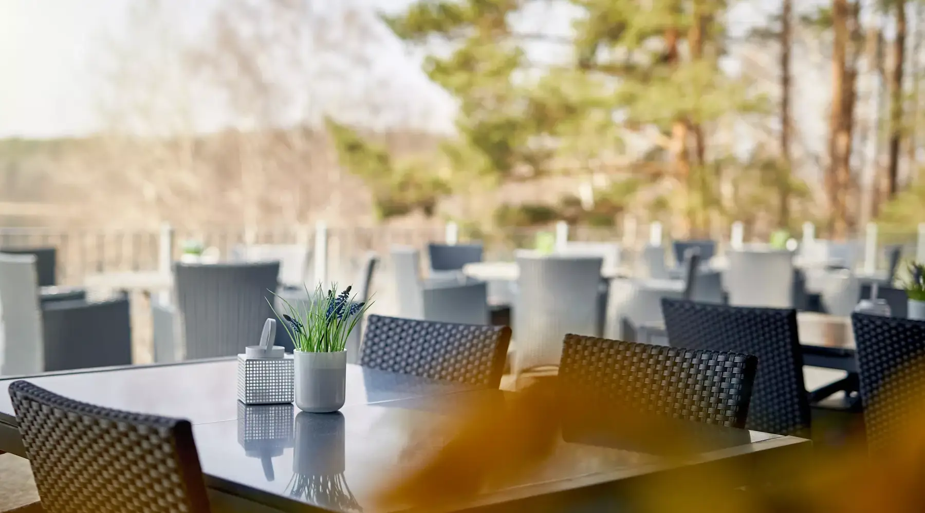 Speisekarte im Restaurant THE VIE im Naturresort Drewitz