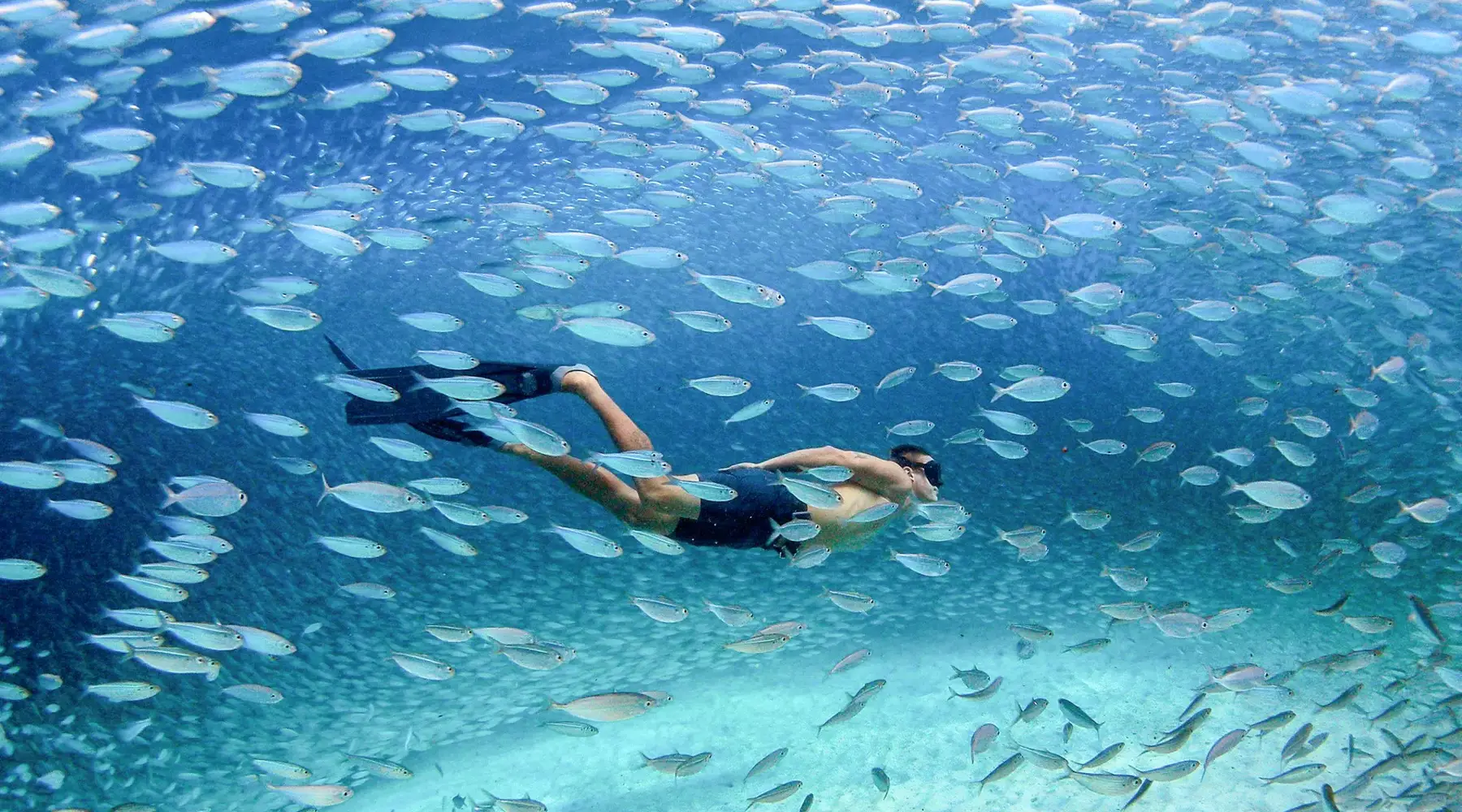 De entree van Resort Bonaire