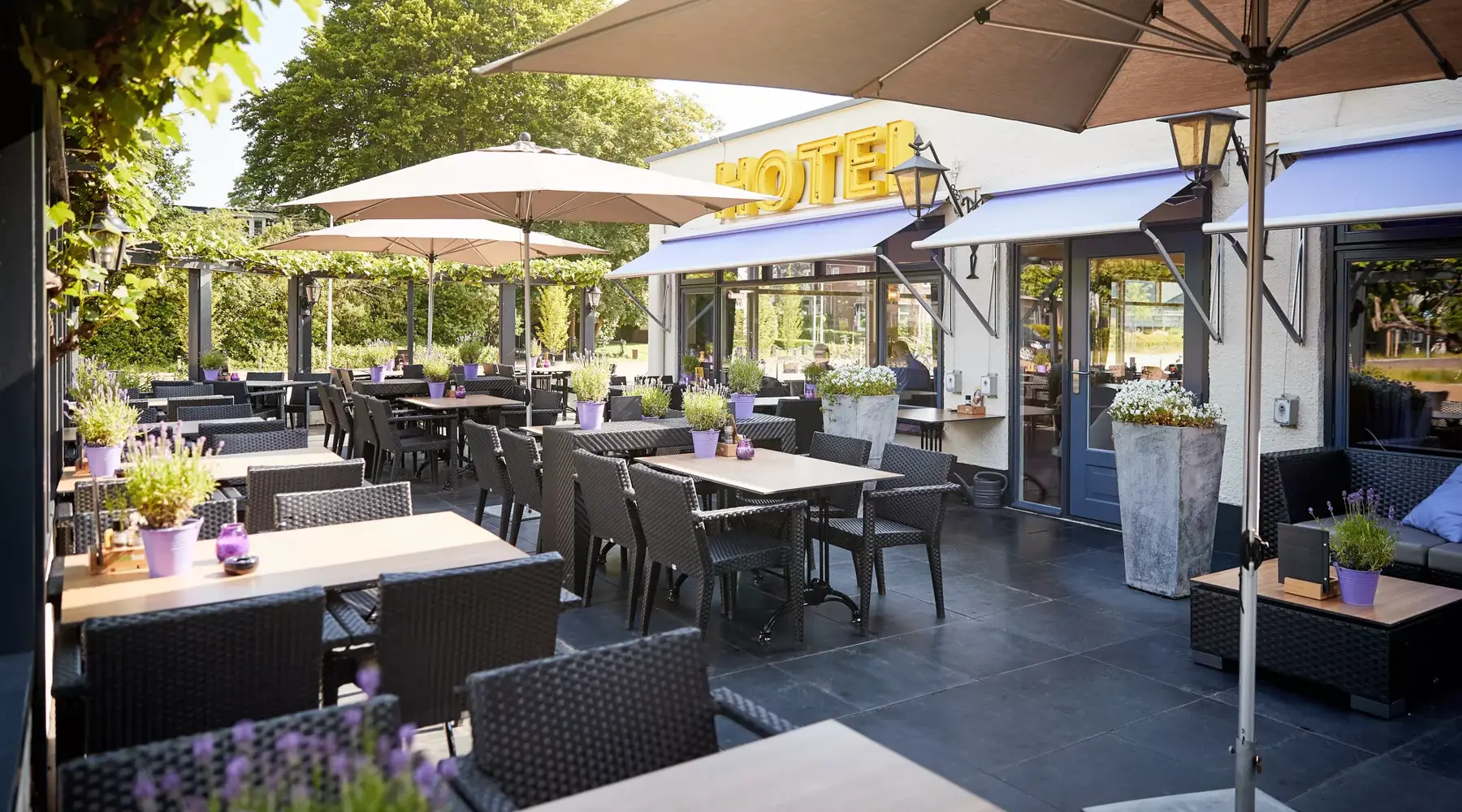 Terras van Hotel Hardegarijp