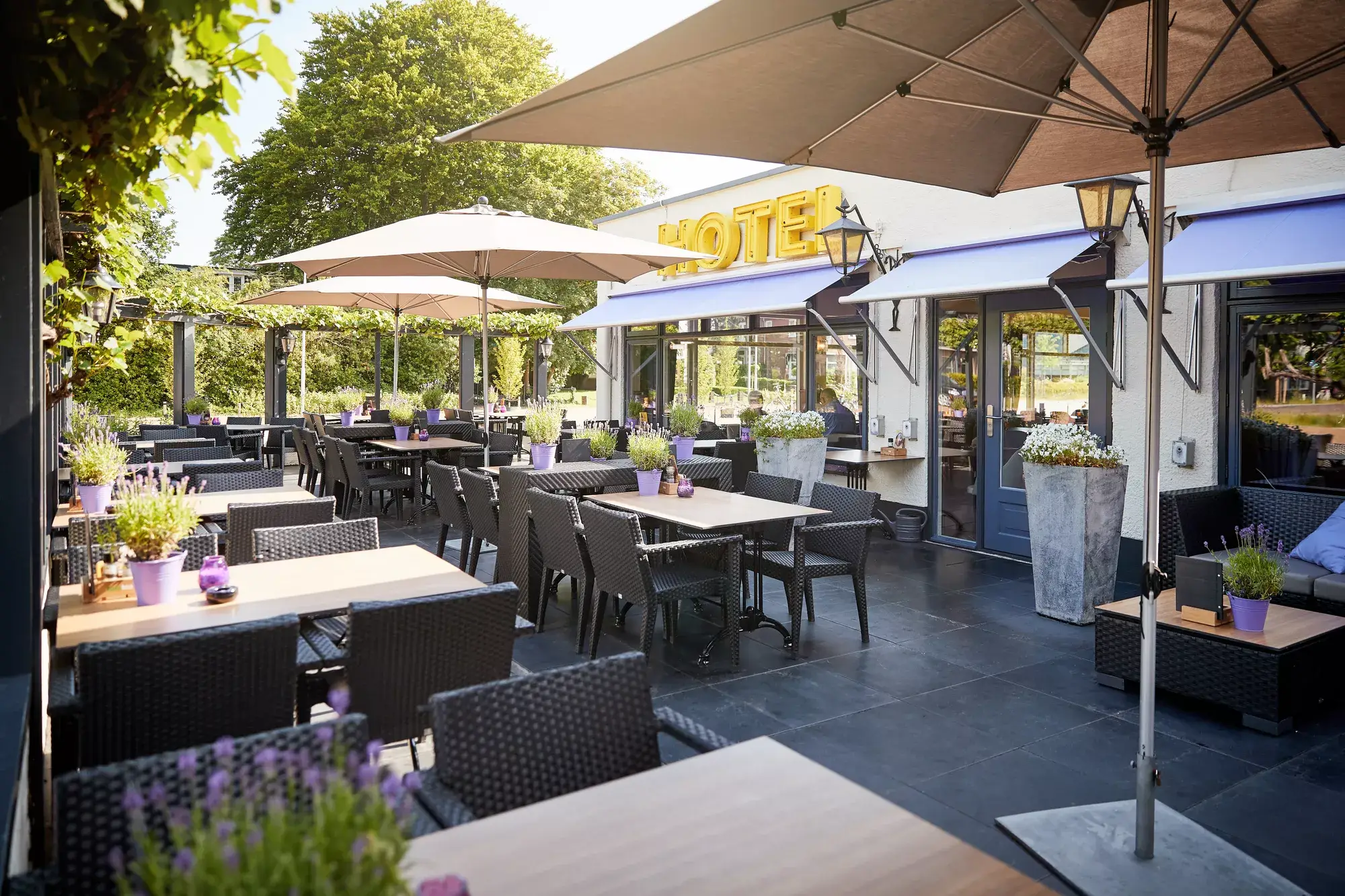 Terras