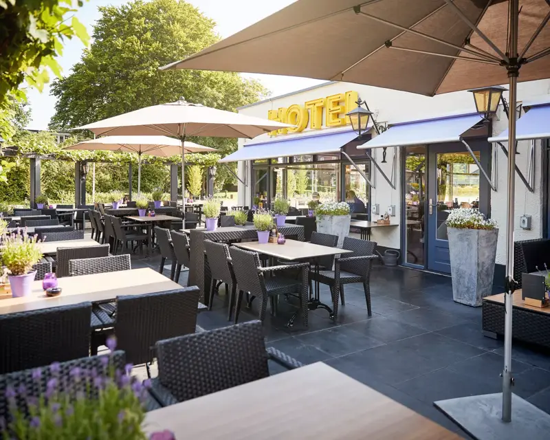Terras